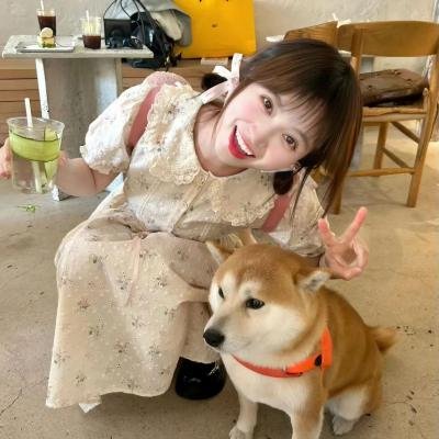 朋友圈 第2季