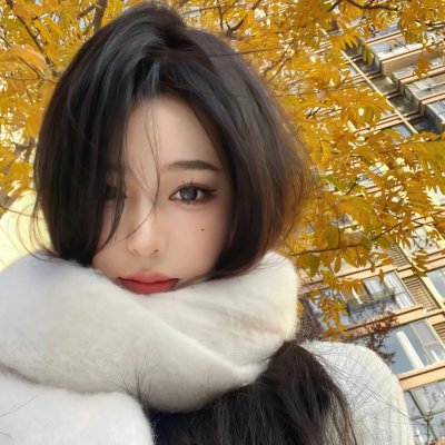 独臂拳王大破血滴子